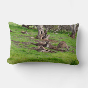 Kangaroo Siesta, Lumbar Kissen. Lendenkissen