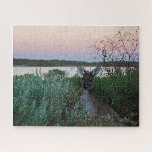 Kangaroo Sunset am Lake Australia, 520 Stück (Horizontal)
