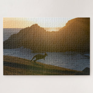 Kangaroo Sunset Foto Australien, 1014 Stück