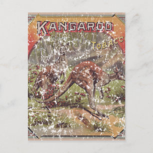 Kangaroo Tobacco 1900 Postkarte