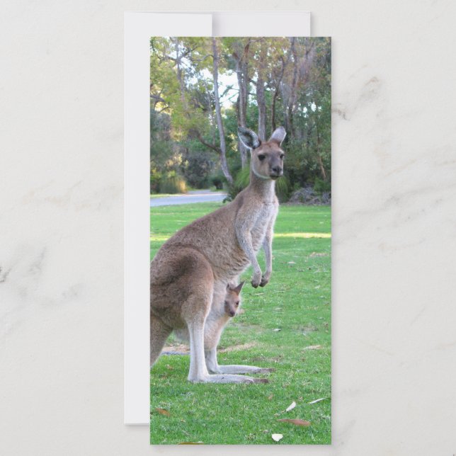 Kangaroo und Joey (Vorderseite)
