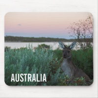 Kangaroo Wildlife Sunset Lake Australia