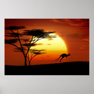 Kangoro bei Sonnenuntergang Poster
