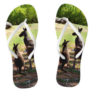 Kangourou et son Joey, tongs
