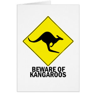 Kangourous