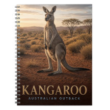 Känguru Australisches Outback Wildlife TIER