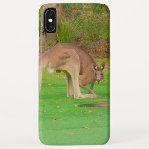 Känguru Case-Mate iPhone Hülle