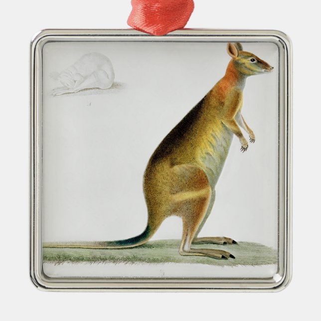 Känguru, graviert durch Coutant Silbernes Ornament (Vorne)