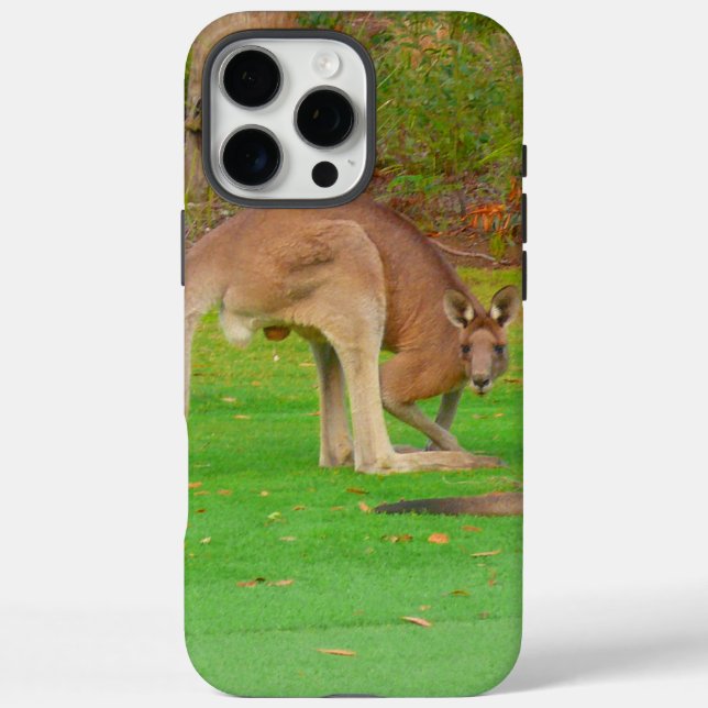 Känguru iPhone 16 Pro Max Hülle (Rückseite)