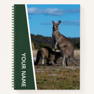 Känguru-Mutter und Baby in Australien, grün Notizbuch