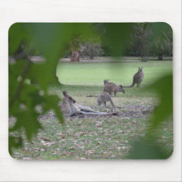 Kängurufamilie Mousepad