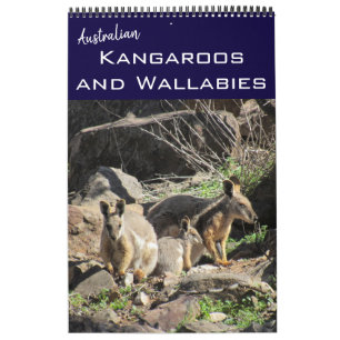 Kängurus Wallabys 2027 Kalender