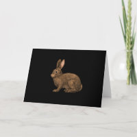 Kaninchen 2