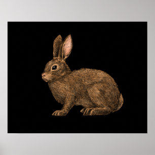 Kaninchen 2 poster