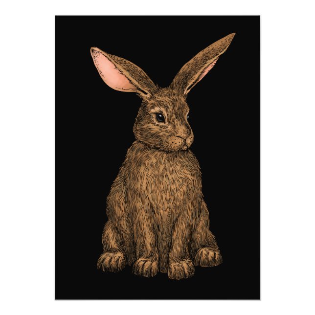 Kaninchen 3 fotodruck (Vorne)