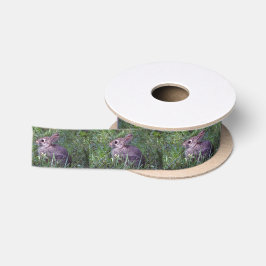 Kaninchen 8603 satinband