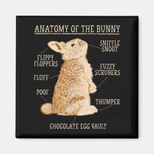 Kaninchen Anatomie Bunny Liebhaber Tierbesitzer  Magnet