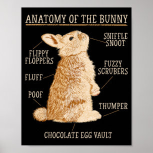 Kaninchen Anatomie Bunny Liebhaber Tierbesitzer Poster