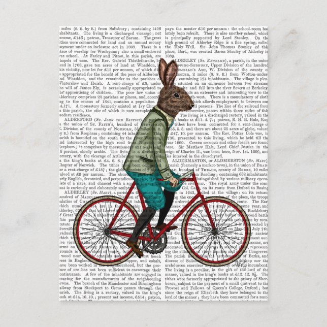 Kaninchen auf dem Fahrrad 2 Postkarte (Vorderseite)