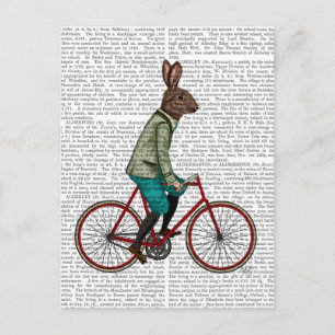 Kaninchen auf dem Fahrrad 2 Postkarte