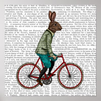 Kaninchen auf dem Fahrrad