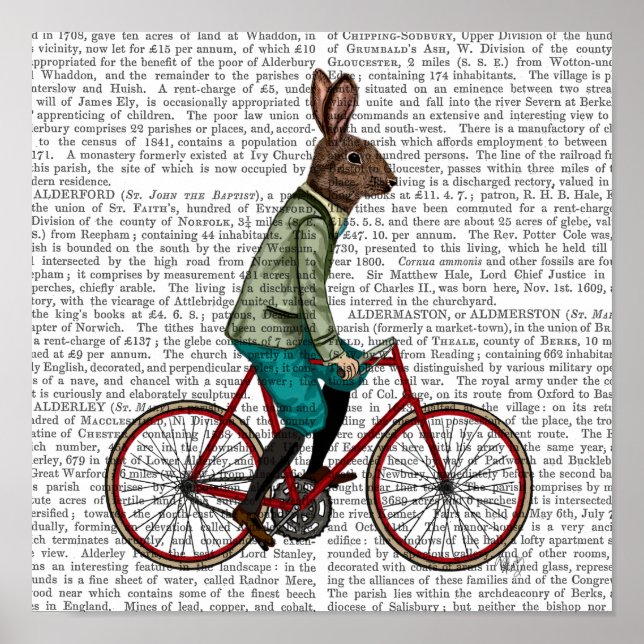 Kaninchen auf dem Fahrrad Poster (Vorne)