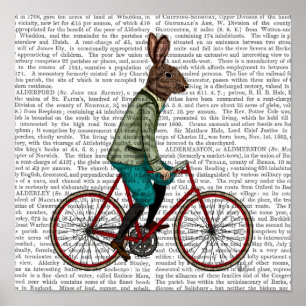 Kaninchen auf Fahrrad Poster