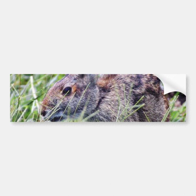 Kaninchen Autoaufkleber (Vorne)
