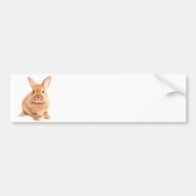 Kaninchen Autoaufkleber (Vorne)