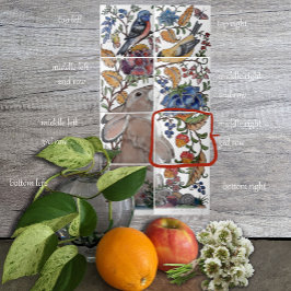 Kaninchen-Bird-Jacobobobohne-Tile-Mural 8pc R Row3 Fliese