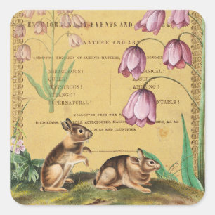 Kaninchen-Collage-Aufkleber Journal Planer Verpack Quadratischer Aufkleber