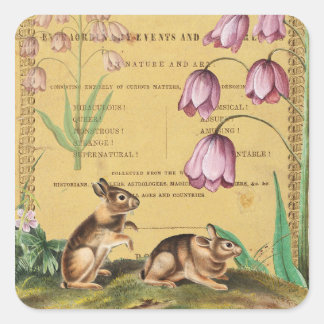Kaninchen-Collage-Aufkleber Journal Planer Verpack Quadratischer Aufkleber