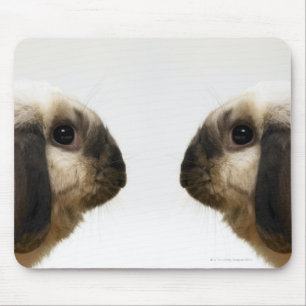 Kaninchen, das Kaninchen betrachtet Mousepad