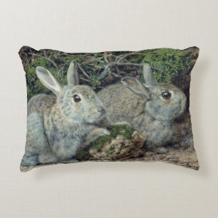 Kaninchen Dekokissen