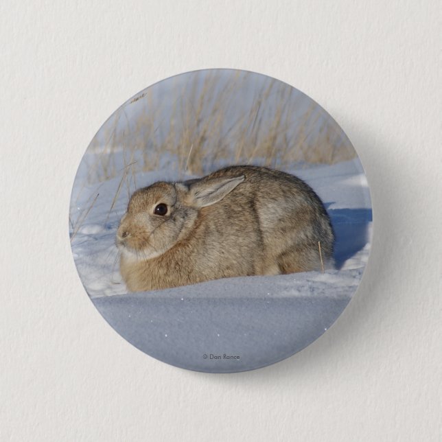 Kaninchen des Waldkaninchen-R5 im Schnee Button (Vorderseite)