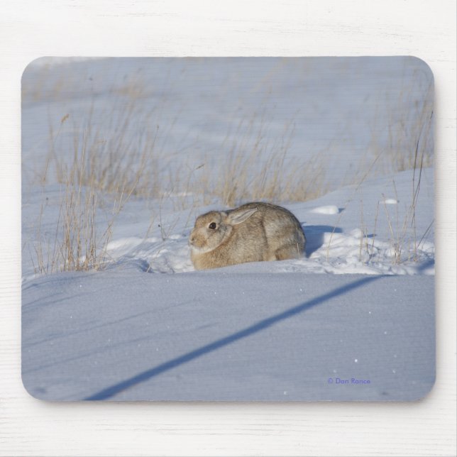 Kaninchen des Waldkaninchen-R5 im Schnee Mousepad (Vorne)