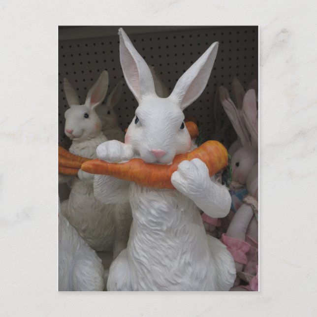 Kaninchen Eating Carrot Postkarte (Vorderseite)