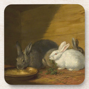 Kaninchen essen Untersetzer