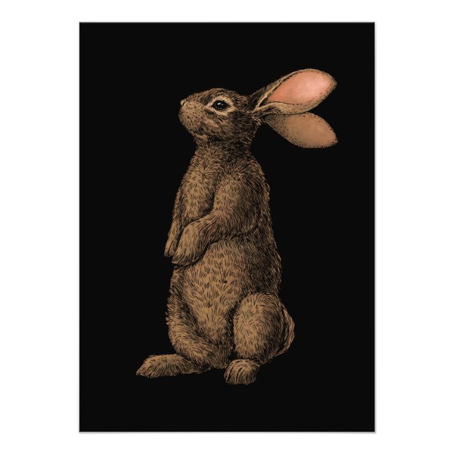 Kaninchen-Foto Fotodruck (Vorne)