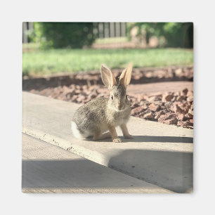 Kaninchen-Foto Ostern Frühling Magnet