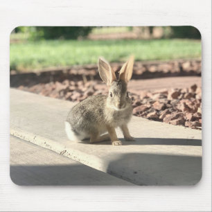 Kaninchen-Foto Ostern Frühling Mousepad
