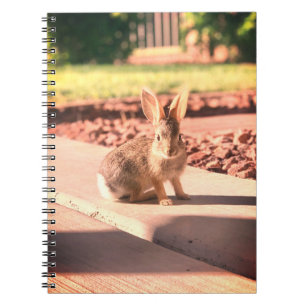 Kaninchen-Foto Ostern Frühling Notizblock
