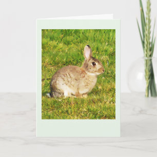 Kaninchen Geburtstagskarte Karte