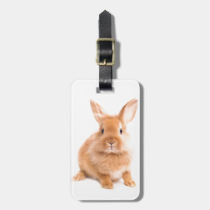 Kaninchen Gepäckanhänger