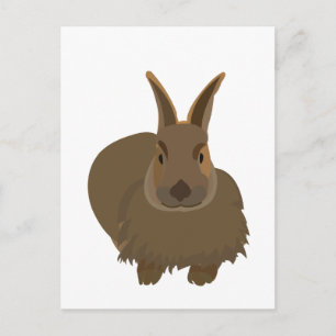 Kaninchen Häschen Postkarte