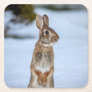 Kaninchen im Schnee Rechteckiger Pappuntersetzer