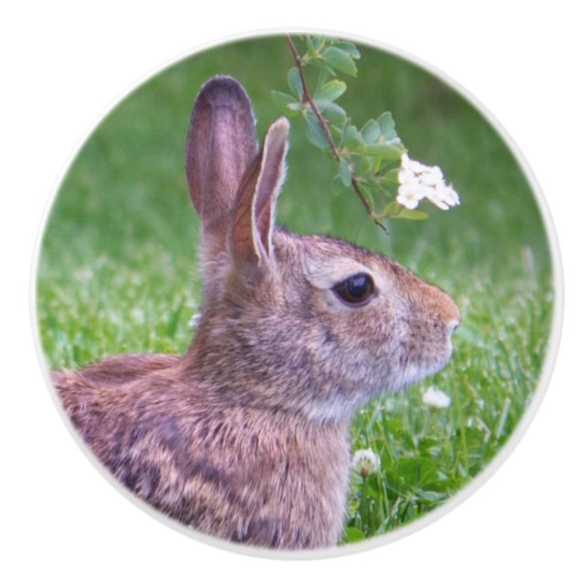 Kaninchen in Grastierfotografie Keramikknauf (Vorderseite)