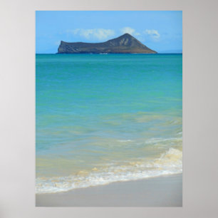 Kaninchen-Insel Poster