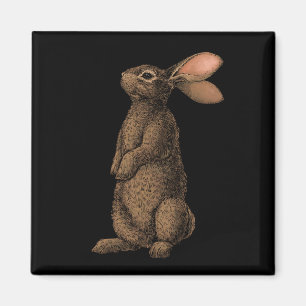 Kaninchen Magnet