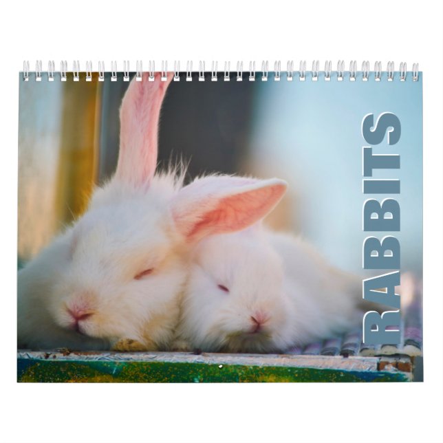 Kaninchen-Mauerkalender Kalender (Titelbild)